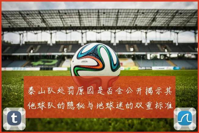 泰山队处罚原因是否会公开揭示其他球队的隐秘与地球迷的双重标准