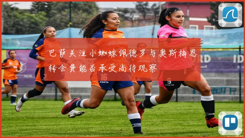巴萨关注小蜘蛛佩德罗与奥斯梅恩转会费能否承受尚待观察